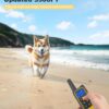 what-age-to-start-dog-protection-training