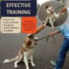 Prong collar small dog, Adjustable Quick-Release Metal Buckle Pinch Collar - 画像2